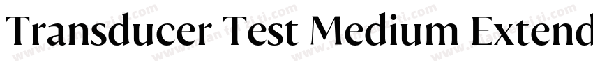 Transducer Test Medium Extended字体转换